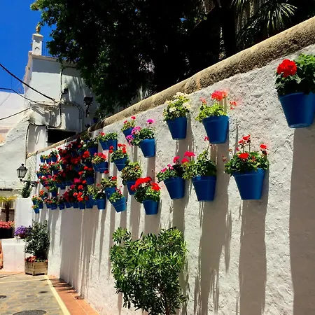 Casa Miguel *