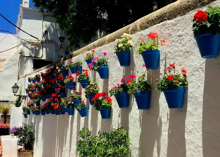 Casa Miguel *